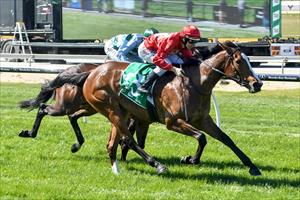 STAY GOLD WINS MAIDEN, SIBLING AIMS AT G1